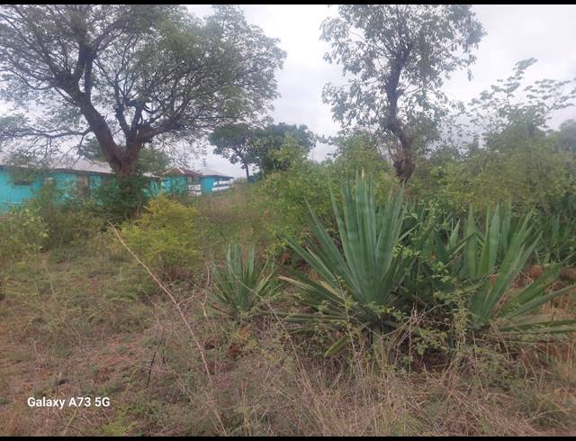 8,000M² VACANT LAND FOR SALE IN MUTOTI